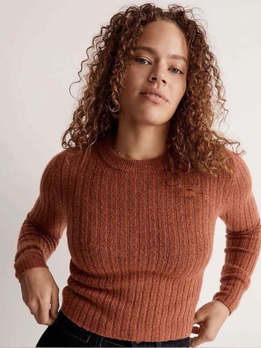 Madewell Readfield pullover Sweater - rust
